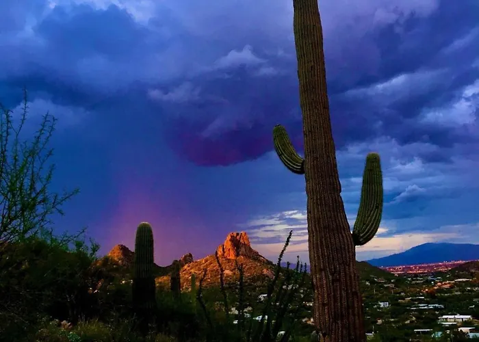 Camelback #102 Holiday home *
